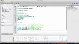Master Practical Java Development : Lecture 43: Preparing the Database and Basic SQL Commands