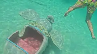 Snorkeling Adventure at Castaway Cay | GoPro Chest Mount POV