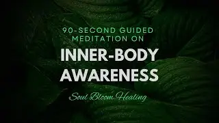 90-second Guided Meditation on locating inner-body awareness.