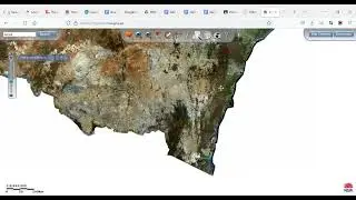 HSC Geography: location of the Junee Licorice and Chocolate Factory