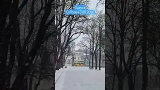 Одесса⚓️. Соборка 31.01.2026 #odessa #ukraine #travel #shorts #violin #music #winter