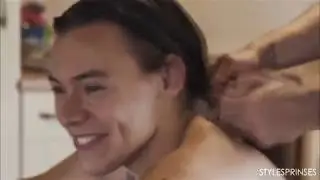 Harry Styles-Perfect