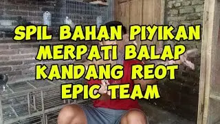 Spil bahan piyikan merpati balap PPMBSI 2026