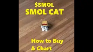 How to Buy Smol Token - Smol Cat launched from Pump Fun