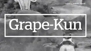 ON POINT: Grape-kun