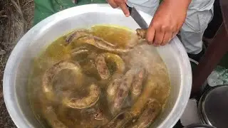 Street Food and Delicacy of Monolith Festival 2024 | Meghalaya | Episode 5