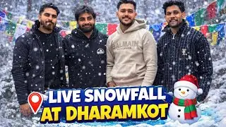 Live snowfall at dharamkot Himachal Pradesh 😍 | Dharamkot Travel Vlog!    #travel #nature #friends 