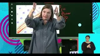 Life Sciences Grd 10 The Human Transport System The Blood Vessels S3