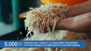 Sucden Russia Tbilissky sugar plant in the Krasnodar region 2020