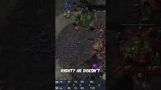 StarCraft 2 Pillow Talk