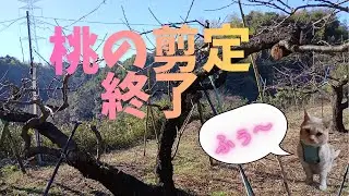 93 剪定続く・・・終わり