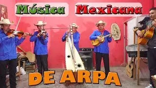 MÚSICA MEXICANA DE ARPA 