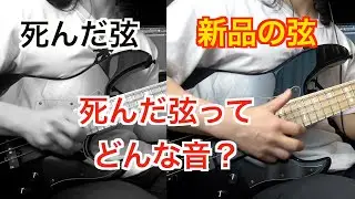 【ベース】死んだ弦と新品の弦を比較したら音が違いすぎてヤバい！