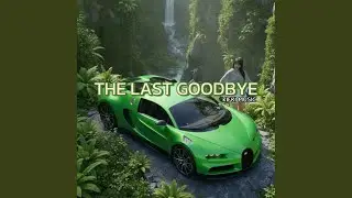 The Last Goodbye