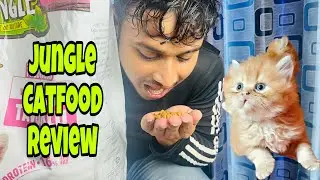 Jungle Catfood Review | Catfood Review In Bangla | Catfood Price In Bangladesh | Reflex Plus Catfood