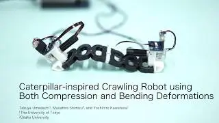 Caterpillar-inspired Crawling Robot using Both Compression and Bending Deformations