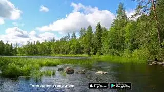 Música para Acalmar os Pensamentos e Relaxar com Sons da Natureza