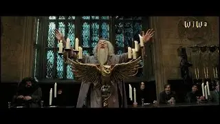 Fresh Dumbledore feat. Hermi G - Mein Fleisch [WiWa Music Video] (HD)