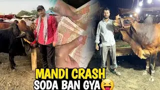 Mandi Crash Ho Gai Janwar Mehanga 🙏 Phir Bhi Soda Ho Gya 😝 Zeeshan ikram Vlog #zshani8549 #eid2025