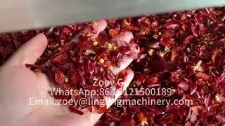 LL hot air dryer chili tray dryer #dryer #dryermachine #hotairdryer #traydryer