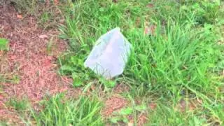 Envirovideo