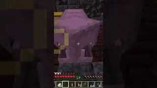 Nomadcraft Tales Why does my head hurt #minecraft #nomadcraft #gaming #smp #lore
