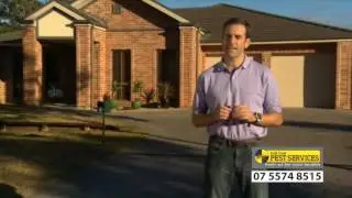Why protect my home from termites - Gold Coast Pest Services