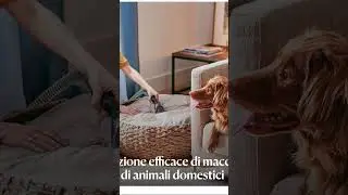 Addio macchie difficili! ✨ La soluzione magica per casa e auto 🚗🏠 #amazonfinds