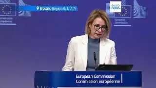 Police detain former EU foreign policy chief Federica Mogherini in anti-fraud probe