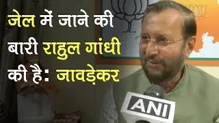 VVIP chopper case: It&rsquo;s Rahul Gandhi&rsquo;s time to go to jail, says Prakash Javadekar | Election 2019