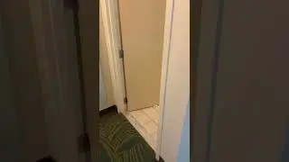 SpringHill Suites Atlanta Buckhead 2025