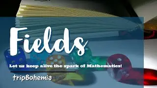 Fields : Definition & Examples | Joseph A Gallian | Ring Theory | CSIR NET |