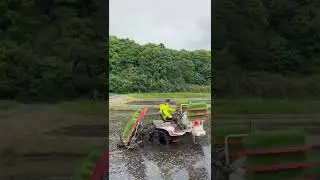 RICE PLANTING IN IBARAKI JAPAN