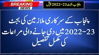 Punjab Budget 2022-23 Salary Increased|| Special Allowance 15% Disparity Allowance Pay and  Pension