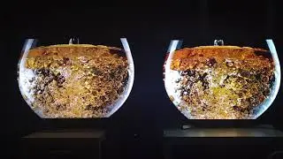 Sony XE93 vs LG B7 HDR 3