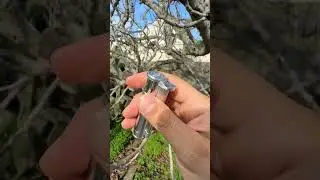 Tokyo Pipe Co. Douglass Field S+ Lighter in Duralumin #youtubeshorts #shorts