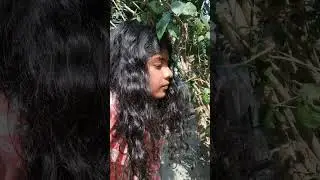 Jeba Tahsin