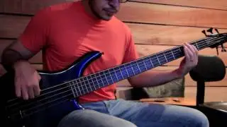 BASS COLECTION COM PR&Eacute; KENN SMITH TB TECH PREAMPS