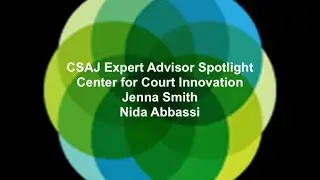 Expert Advisor Spotlight: Center for Court Innovation