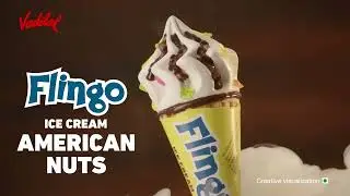 NEW Vadilal Flingo - American Nuts Ice Cream