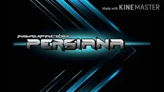 Persiana en vivo (69494707)