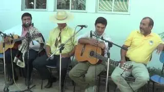 el cura payador, jorge castro, el tordo de linares y el  rayo pemucano