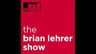 Brian Lehrer Weekend: Changing Elections; AI & Jobs; Family Language