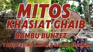 Khasiat Bambu Buntet Mitos Ghaib