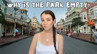 The Best Time to Visit Magic Kingdom | Low Crowds