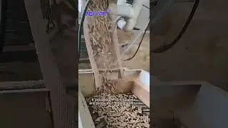 90KW pellet mill composition pellet production line  #pellets #pelletproductionline  #fuel #wood