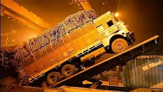 Sugarcane truck unloading process Dalmia Chini Mill #cane  #truck 