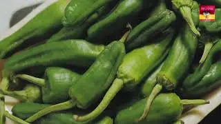 Top 3 Spain Vegetables