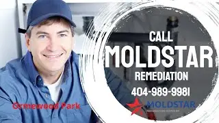 Mold Remediation and Mold Removal Ormewood Park Service Area | MoldStar Remediation 404-989-9981