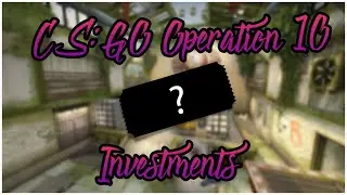 Operation 10 In CS:GO! (Investments+Giveaway)
